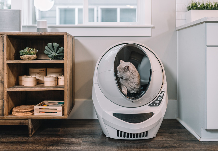 How to setup a litter box in an apartment Blog LIVE More by Minto